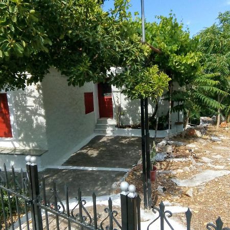 Tseratsiá Kalapo Apartment מראה חיצוני תמונה